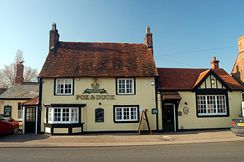 The Fox and Duck March 2012